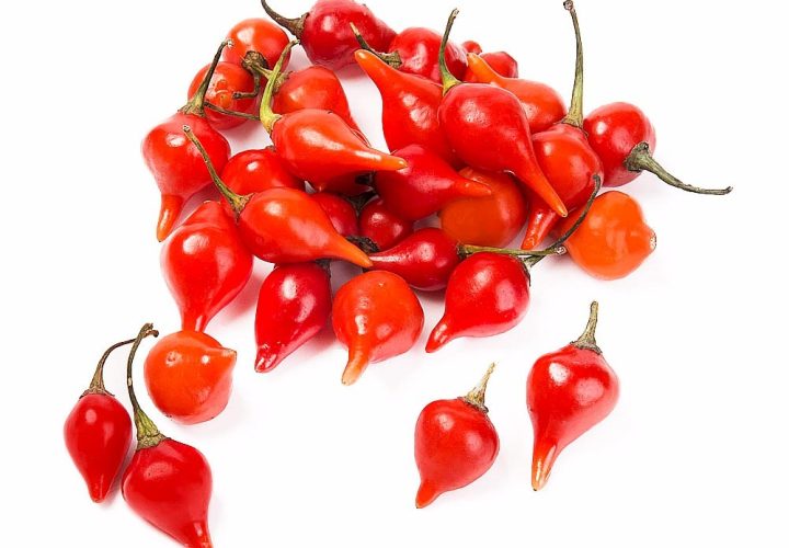 PIMENTA BIQUINHO